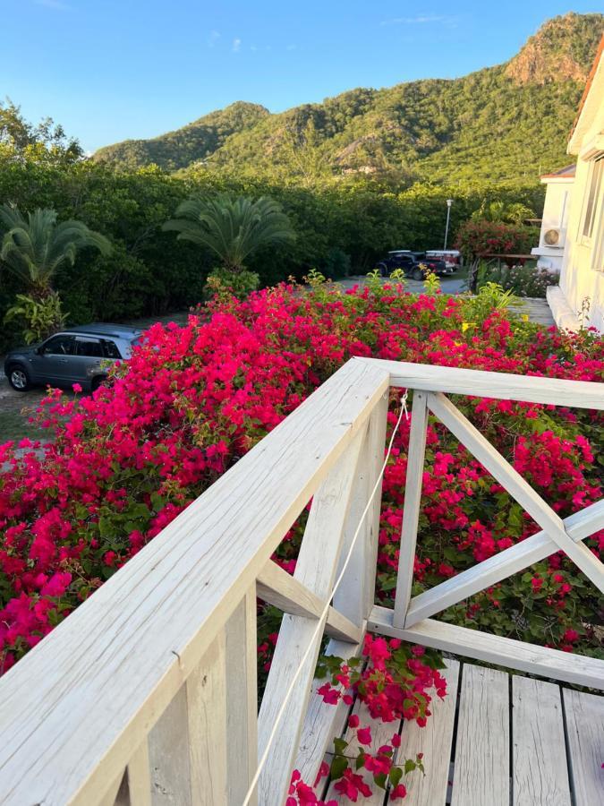 Sunny Villa In The Marina - Excellent Water Views Jolly Harbour Exteriör bild